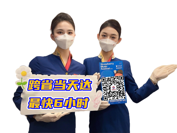 临沂空运西安机场